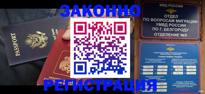 прописка законно в Сураже